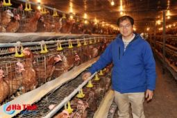 Tốt nghiệp thạc sỹ ở Đức, vẫn quyết về quê chăn gà, nuôi tôm
