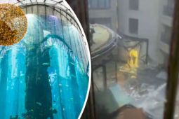 Vỡ bể cá khổng lồ cao 16 mét ở Berlin