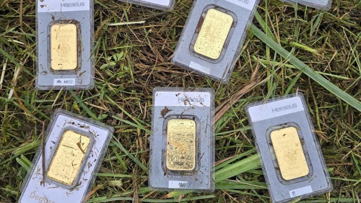 1 Nguoi Tho Cat Co Phat Hien Kho Bau Vang Tri Gia 40000 Euro Tai Duc