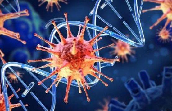 Đức phát hiện mới về đặc điểm khiến virus corona chủng mới “sinh sôi” nhanh và...