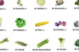 Cùng học tiếng Đức qua hình ảnh mỗi ngày: Chủ đề đồ dùng bếp
