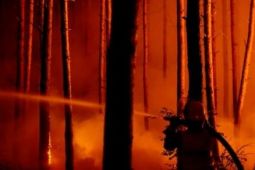 Cháy rừng ở Đức tại khu vực còn sót bom đạn thời chiến tranh