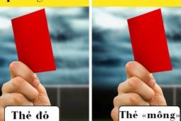Thẻ đỏ là “thẻ mông” và những sự thật thú vị ở nước Đức