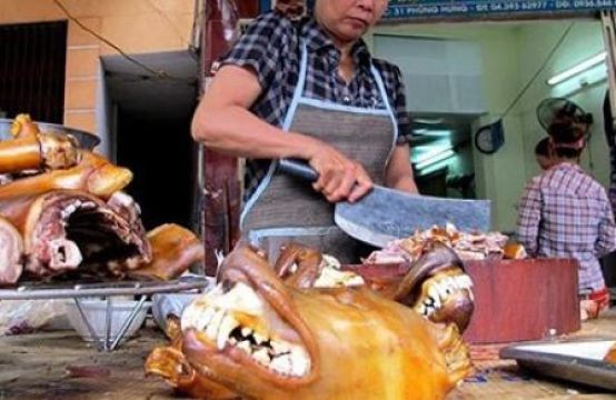 Báo Đức viết về “văn hóa ăn thịt chó” ở Việt Nam