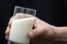 Đức: Các siêu thị đồng loạt thu hồi sữa nhiễm vi khuẩn 'ăn thịt người'