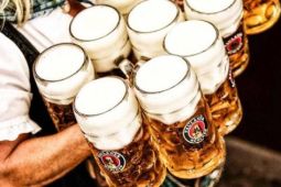 Những điều ít biết về loại bia nổi tiếng nhất ở lễ hội bia Đức Oktoberfest