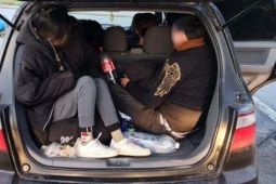 17 người Việt bị bắt khi trốn trong ôtô vào Đức