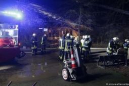 Đức: Pháo hoa giao thừa làm cháy và chết hết khỉ ở khu bảo tồn