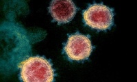 Bang Hessen của Đức tìm kiếm 8 ứng viên cho học bổng nghiên cứu về virus