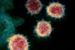Bang Hessen của Đức tìm kiếm 8 ứng viên cho học bổng nghiên cứu về virus