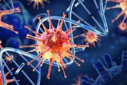 Đức phát hiện mới về đặc điểm khiến virus corona chủng mới “sinh sôi” nhanh và...