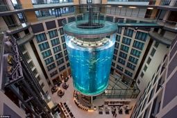 Aquadom – thủy cung hình trụ lớn nhất thế giới tại thủ đô nước Đức