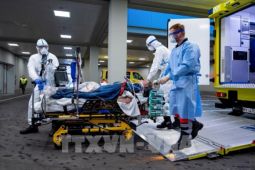 Đức: Các bệnh viện lại thiếu nhân viên do số ca mắc COVID-19 tăng trở lại