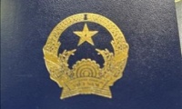 Đại sứ quán Việt Nam tại Đức tích cực giải quyết vấn đề liên quan hộ chiếu mới