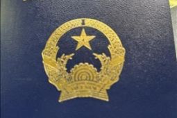 Đại sứ quán Việt Nam tại Đức tích cực giải quyết vấn đề liên quan hộ chiếu mới