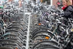 Khám phá Münster – thủ phủ xe đạp của nước Đức